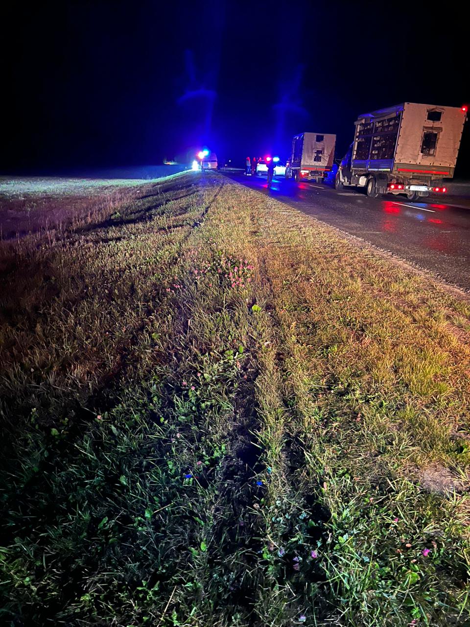 В Кукморском районе Татарстана мужчина ночью внезапно выбежал на дорогу прямо под колеса автомобиля и погиб