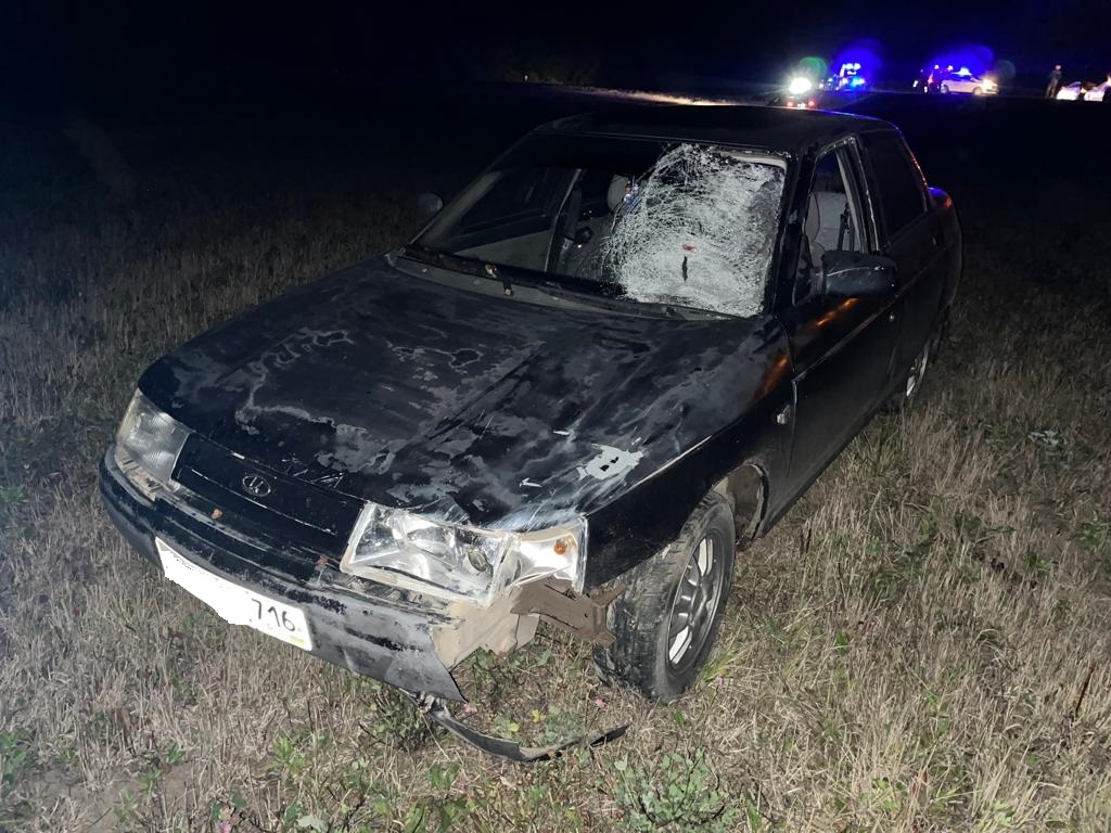 В Кукморском районе Татарстана мужчина ночью внезапно выбежал на дорогу прямо под колеса автомобиля и погиб