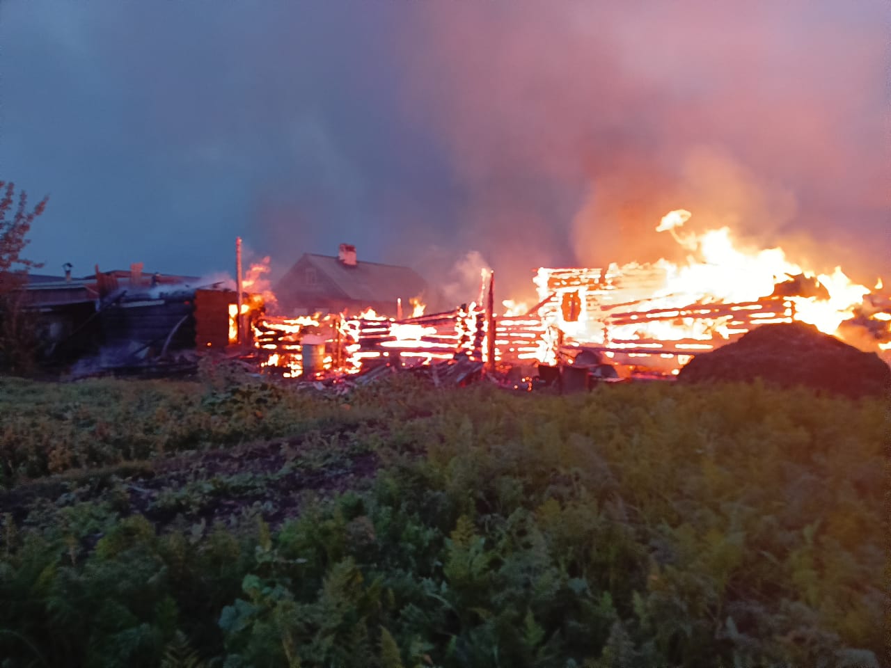 В Кукморском районе огонь уничтожил два хозяйства, погибло 7 голов КРС