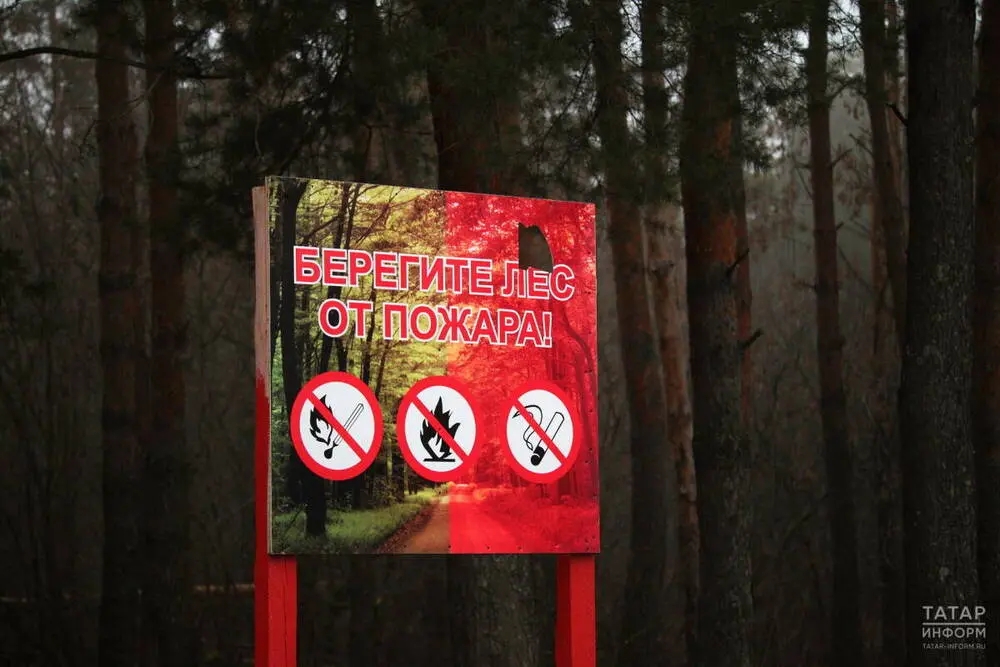 Не разводите костры. Фото: ИА «Татар-информ».