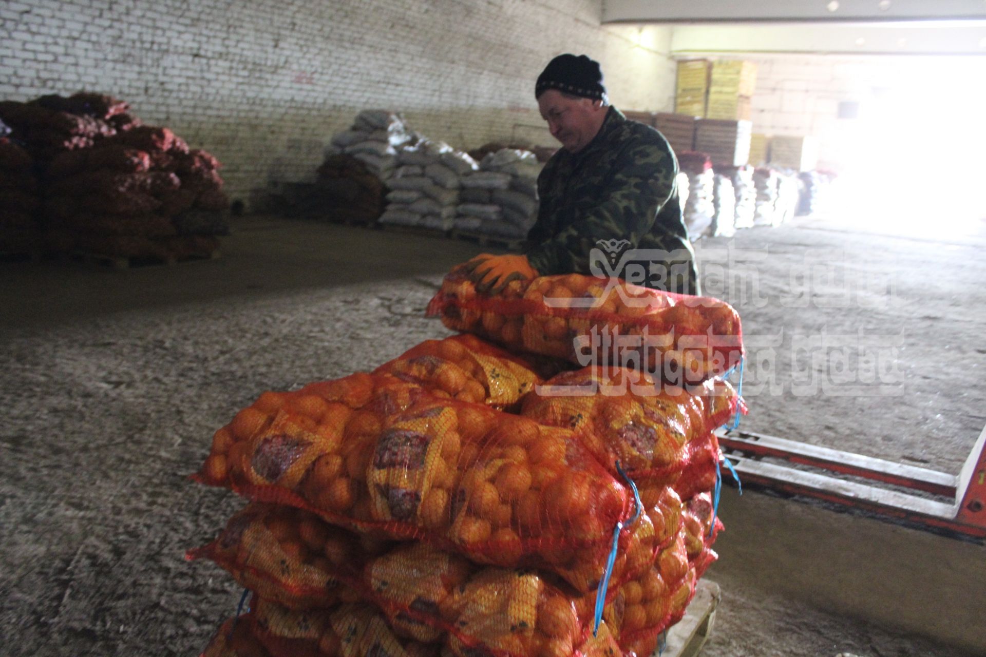 Фоторепортаж: Марат Ахметов ознакомился с деятельностью Кукморских сельскохозяйственных потребительских кооперативов