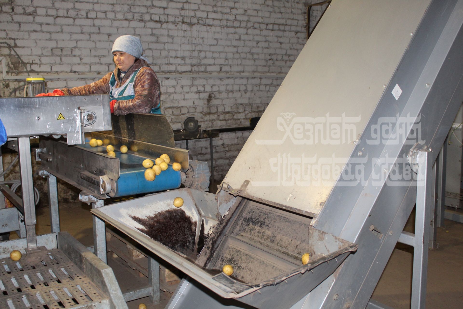 Фоторепортаж: Марат Әхмәтов Кукмара авыл хуҗалыгы кулланучылар кооперативларының эшчәнлеге белән танышты