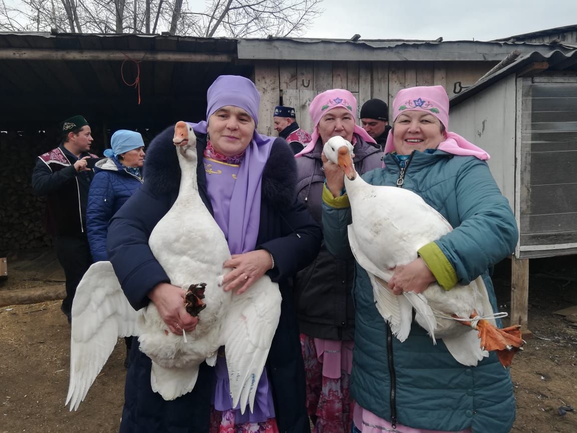 В деревне Сабанчино прошел праздник гусиного пера (фото)