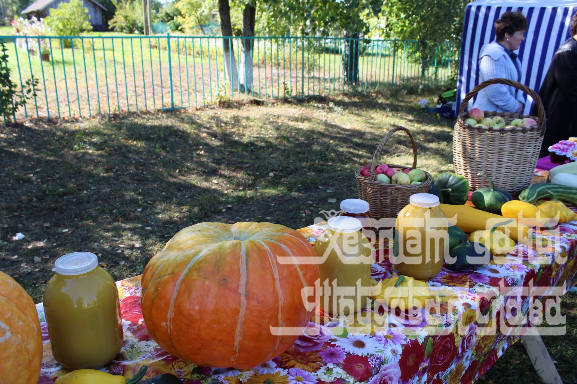 Фоторепортаж: Жители Кукморского района отпраздновали Яблочный спас