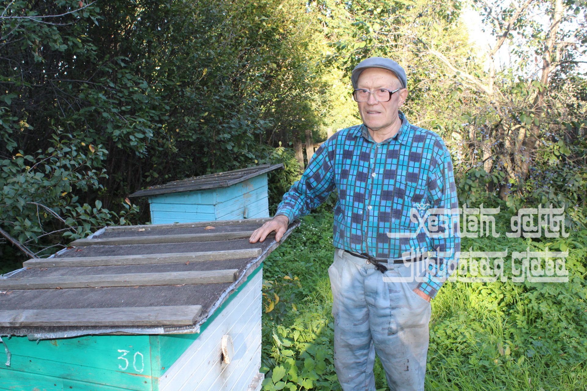 Фото: Камиль Хамзин из Кукморского района выращивает картофель из семян