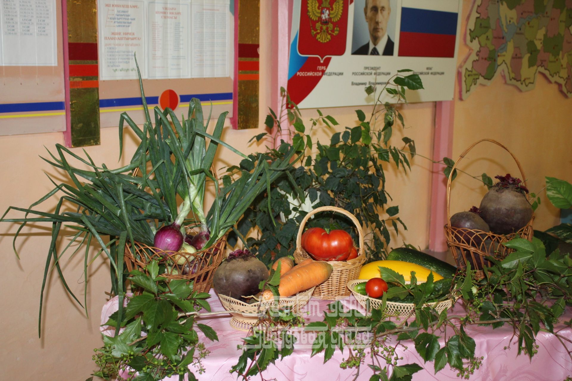 Фото: В Кукморском районе продолжаются сходы граждан