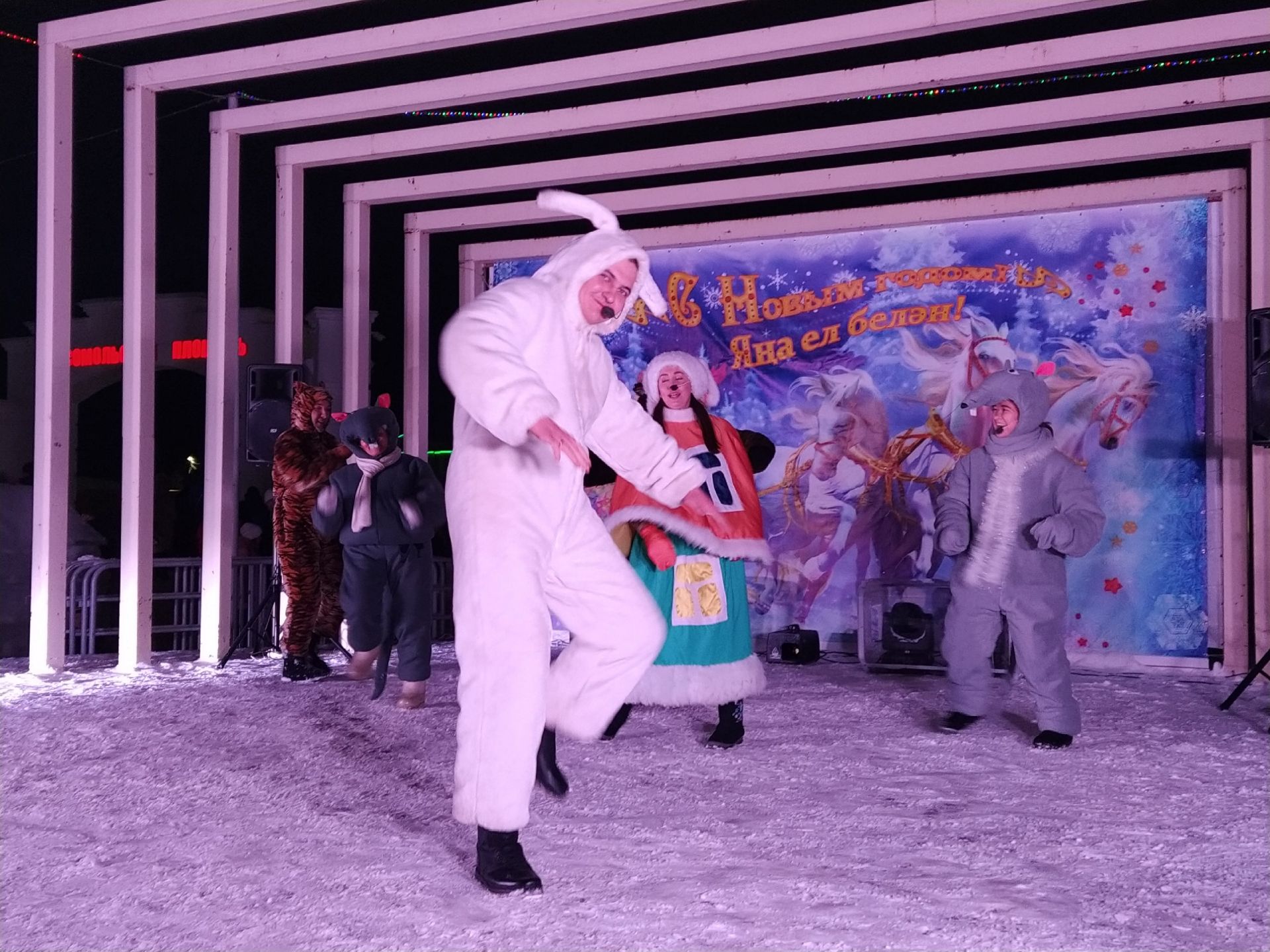 Жители Кукморского района встретили Новый год