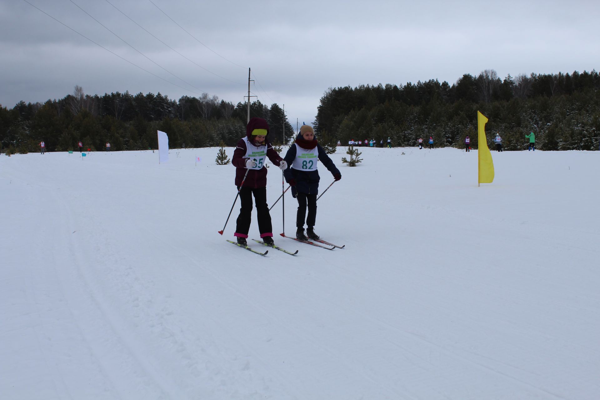 «Лесная лыжня – 2020» собрала в Лубянах более 200 участников