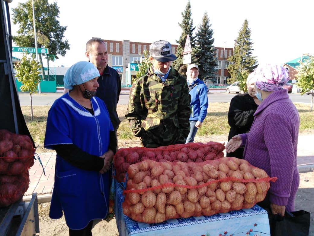 Чеснок по 250 рублей, картофель по 25 рублей: в Кукморе прошла ярмарка