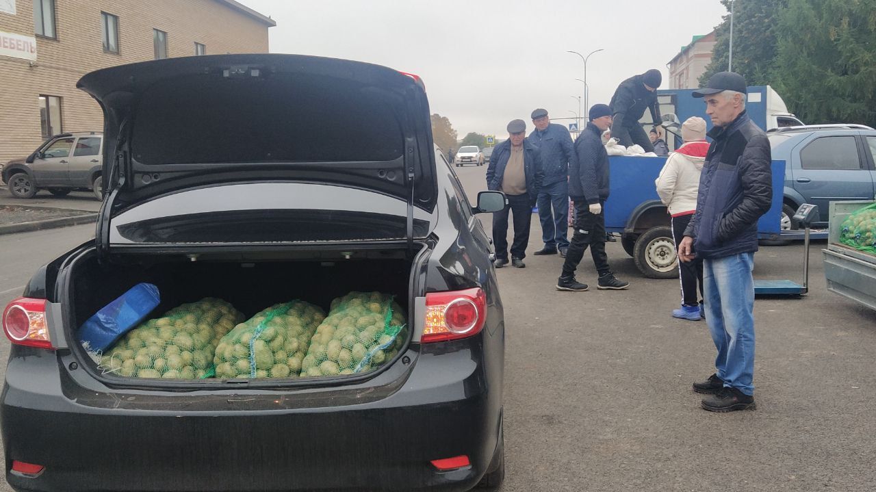 В Кукморе прошла ярмарка, посвященная Международному дню пожилого человека