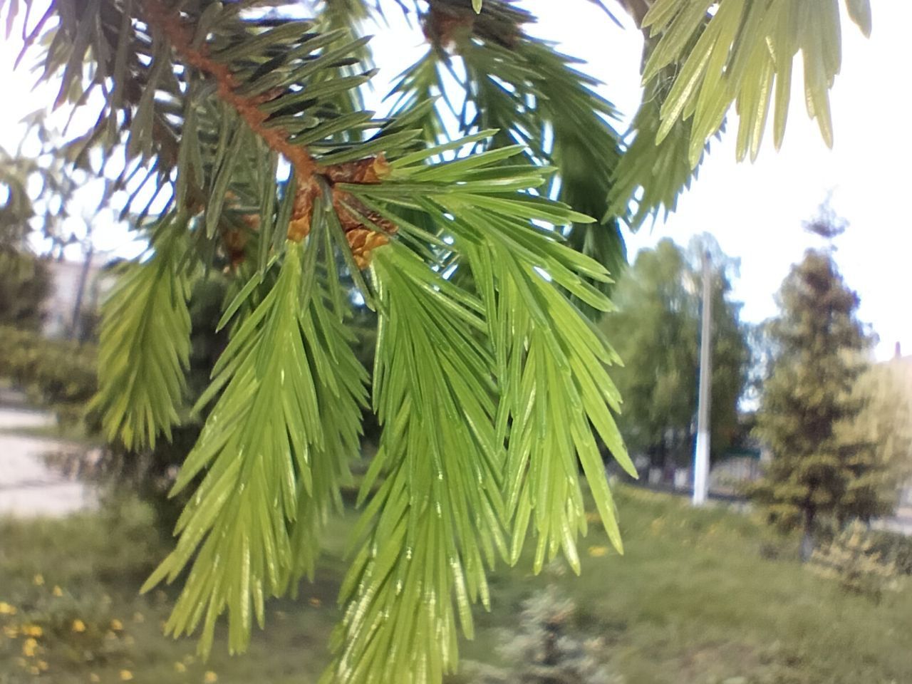 В Кукморском районе ожидаются кратковременные дожди и до ..+24˚