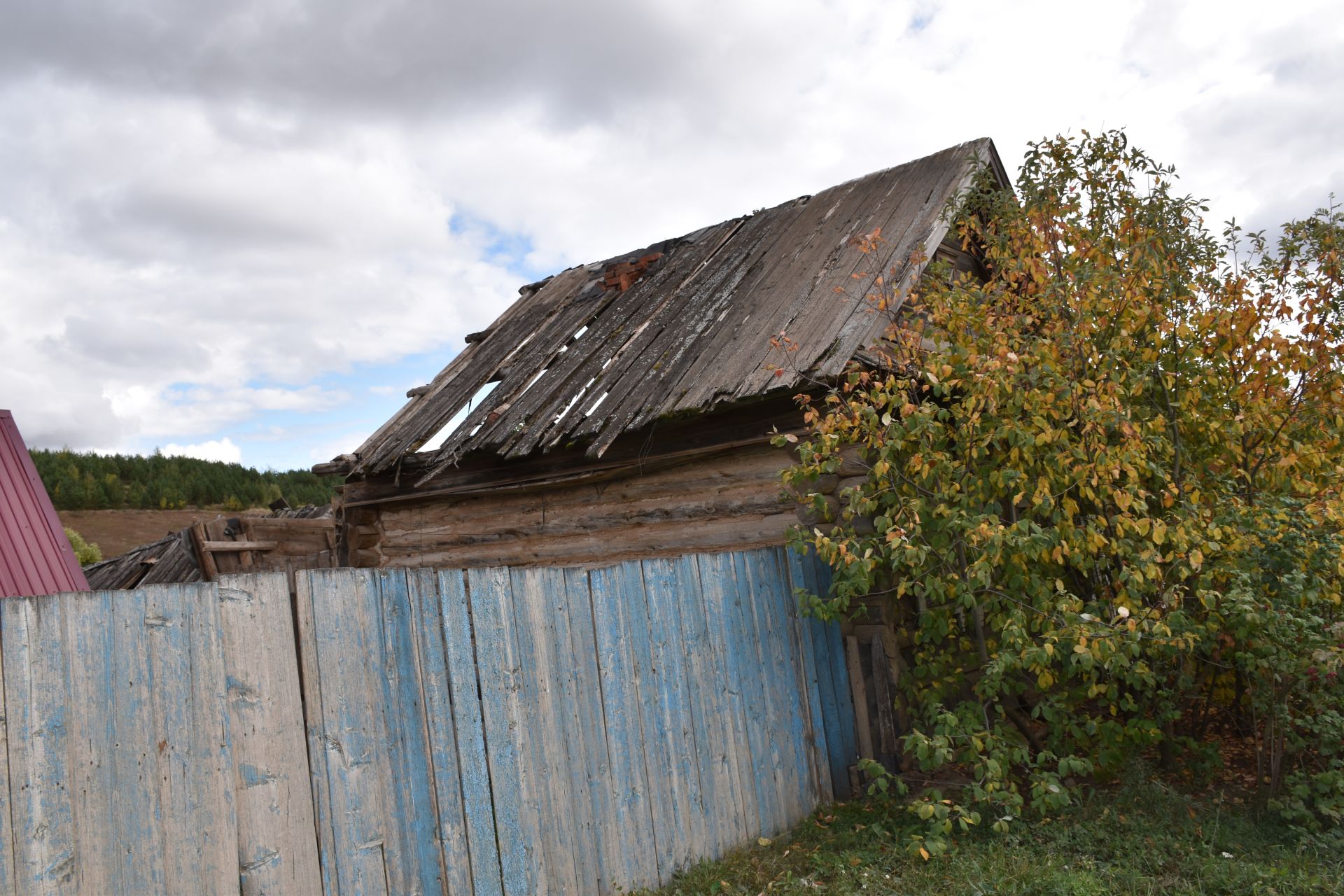 Кукмара районында йөзгә якын ташландык хәлдәге йорт бар