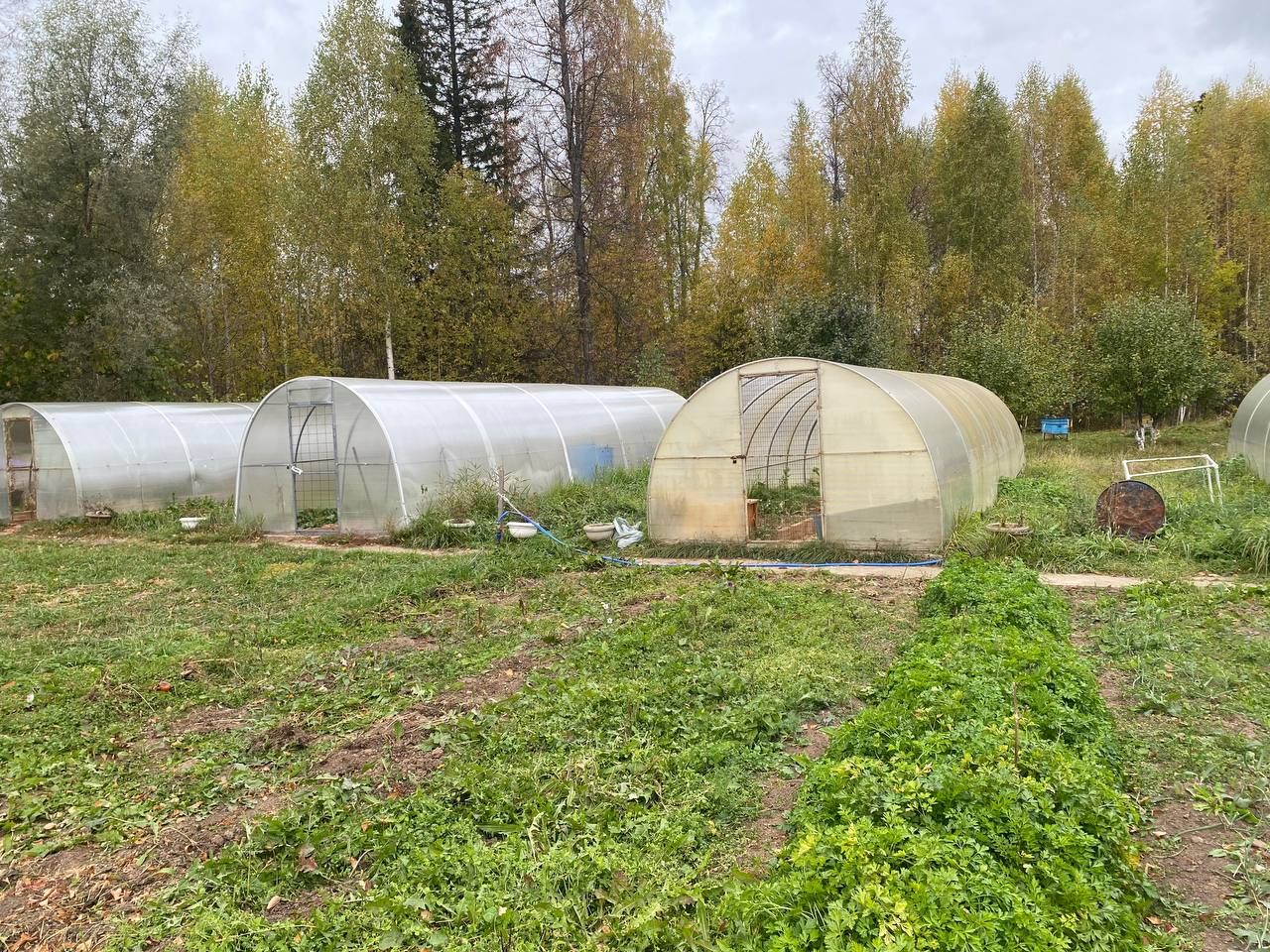 Кукмаралылар Лесхозда урнашкан картлар йортында булдылар