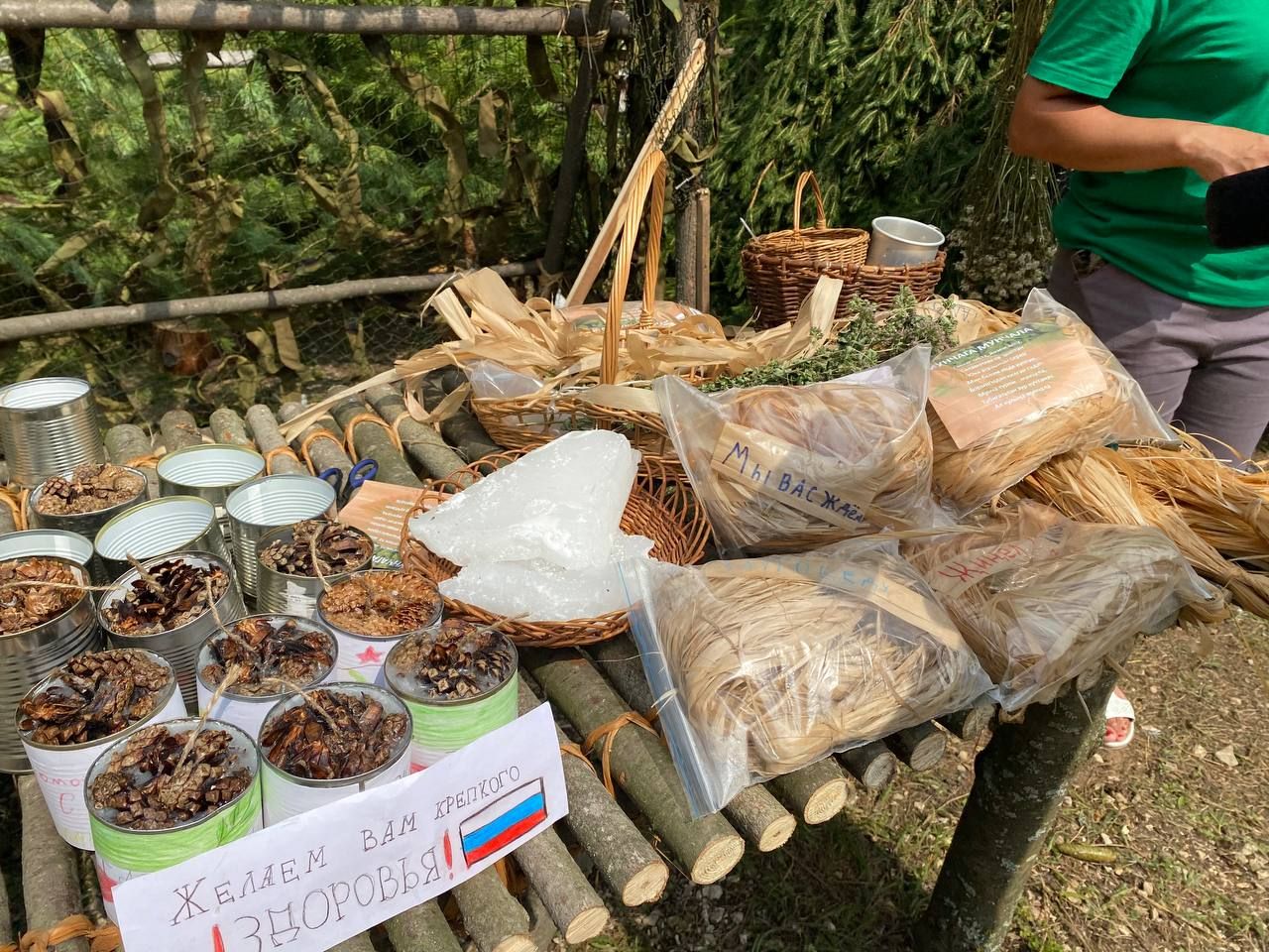 Кукмара районында мәктәп урманчылыкларының слеты булды