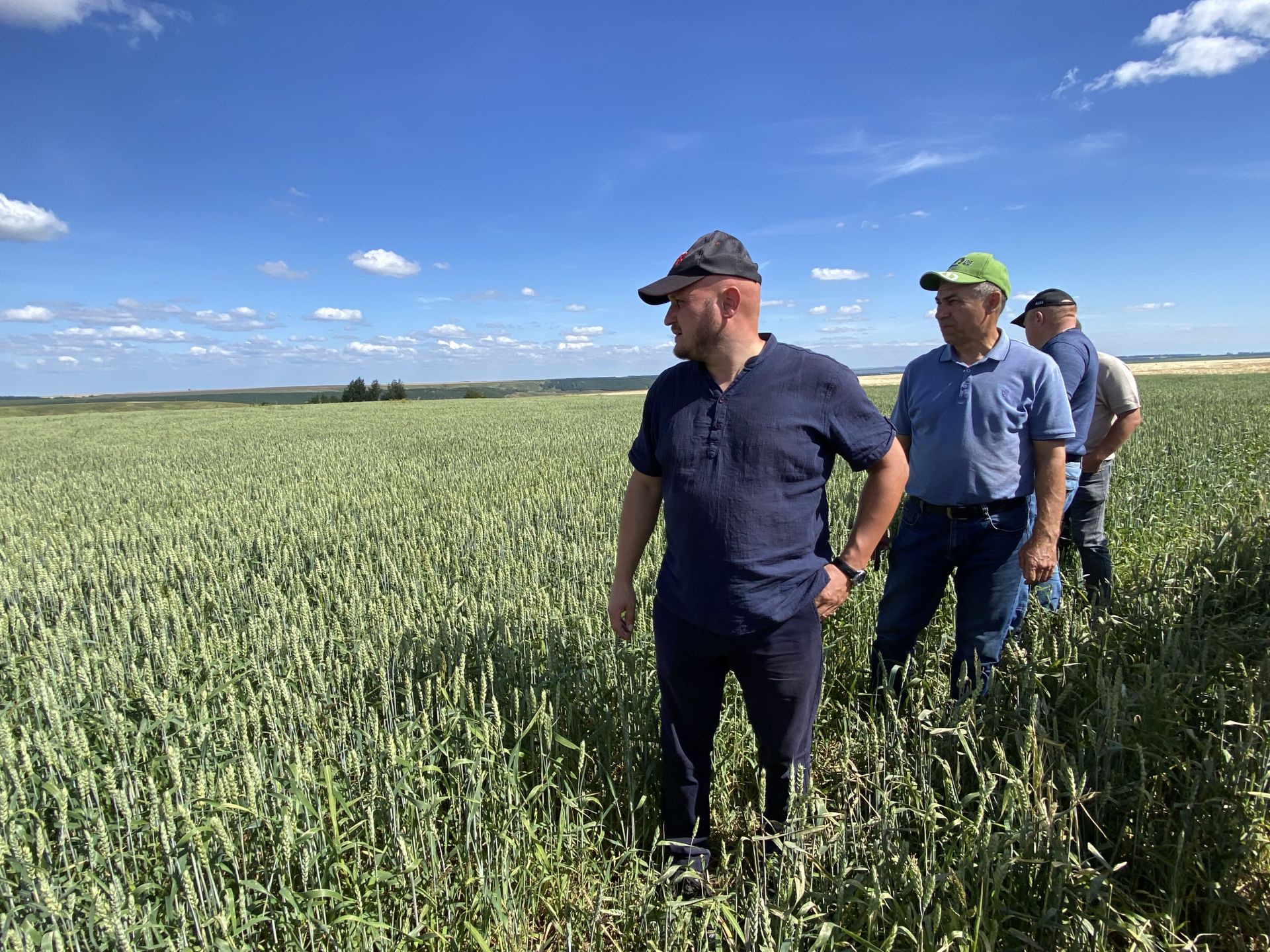 Кукмара аграрийлары басуларга чыгып тәҗрибә уртаклаштылар