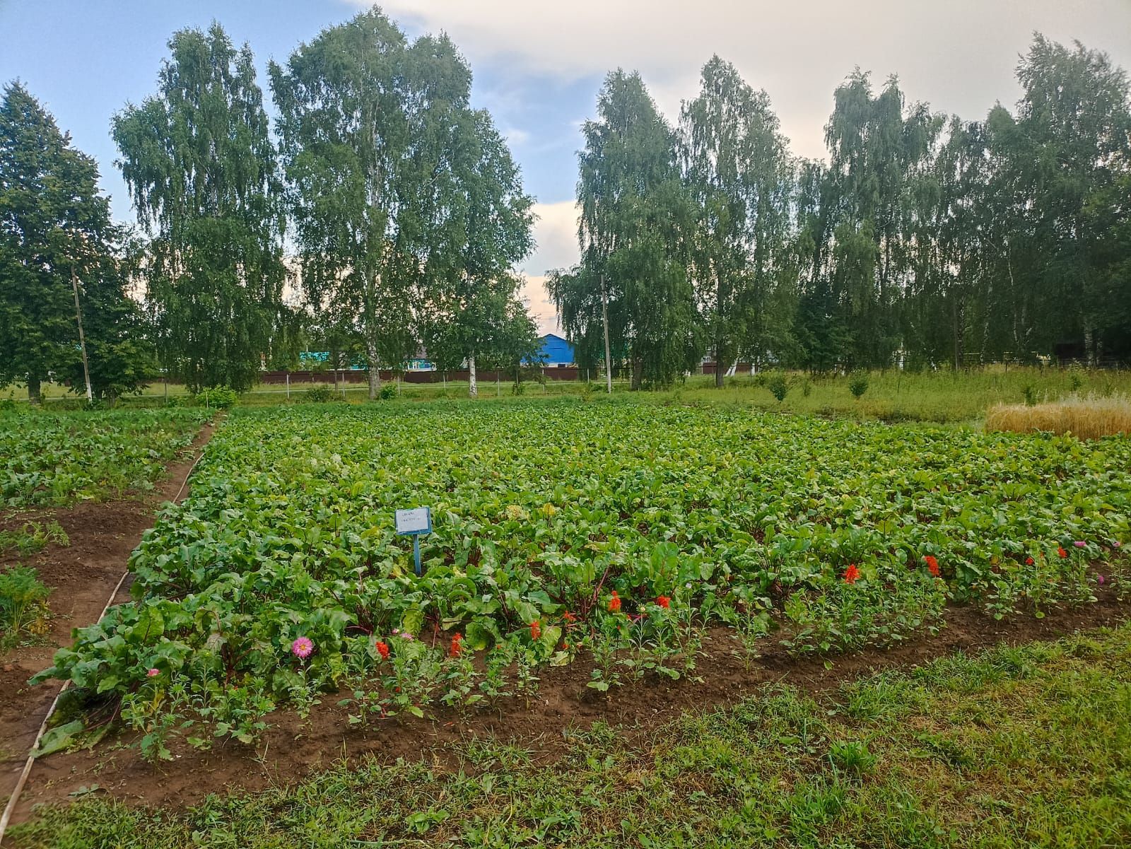 Кукмара районында мәгариф учреждениеләренең яңа уку елына әзерлеге тикшерелә