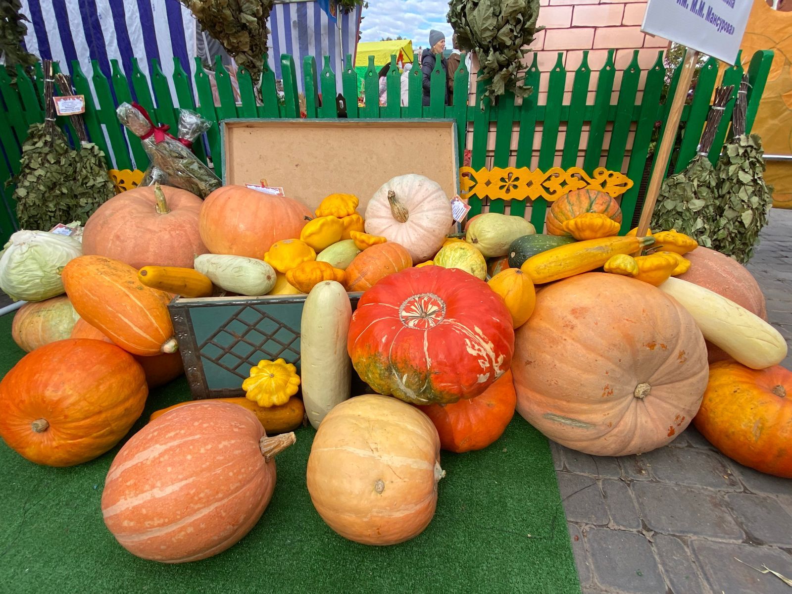 Кукмарада мәгариф учреждениеләренең көзге ярминкәсе гөрләде