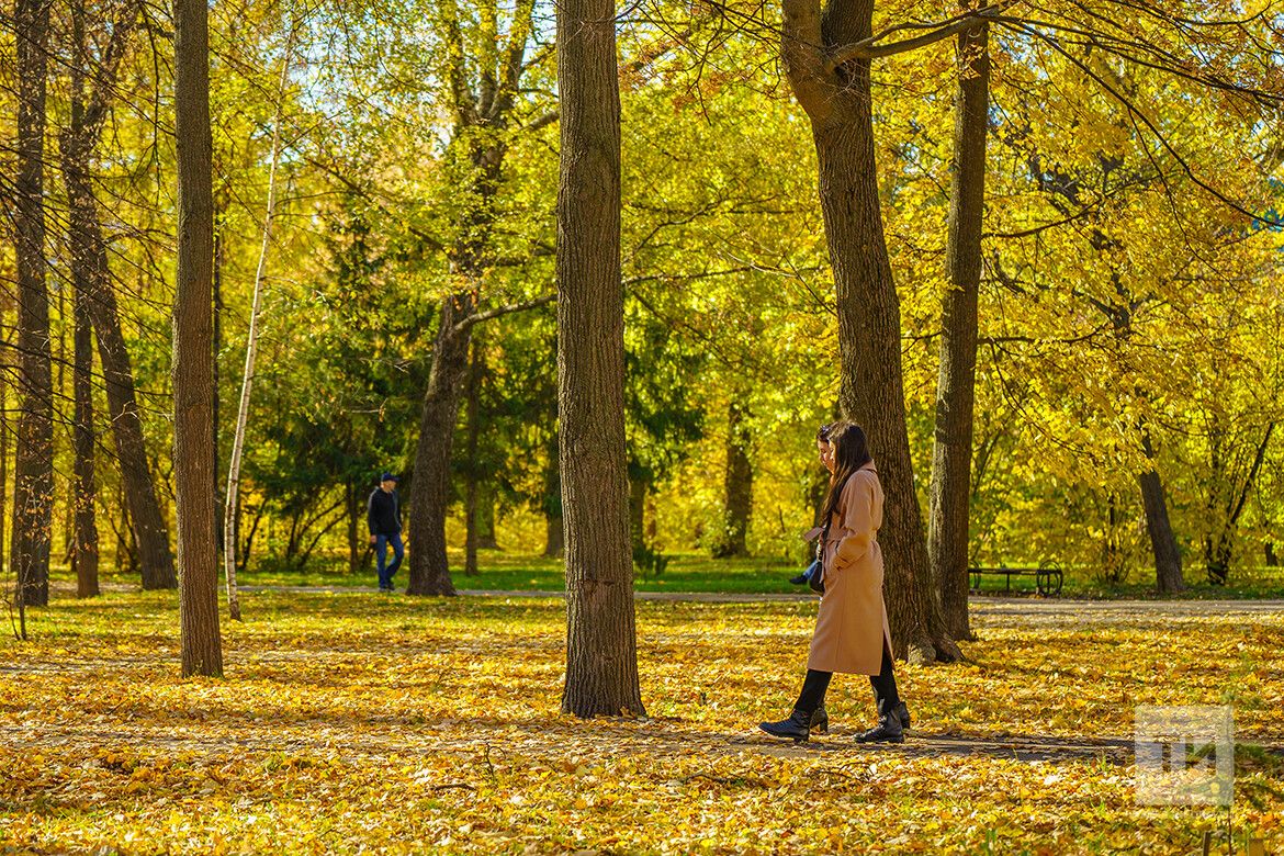 Россиялеләрне ноябрь аенда 20 эш һәм 10 ял көне көтә