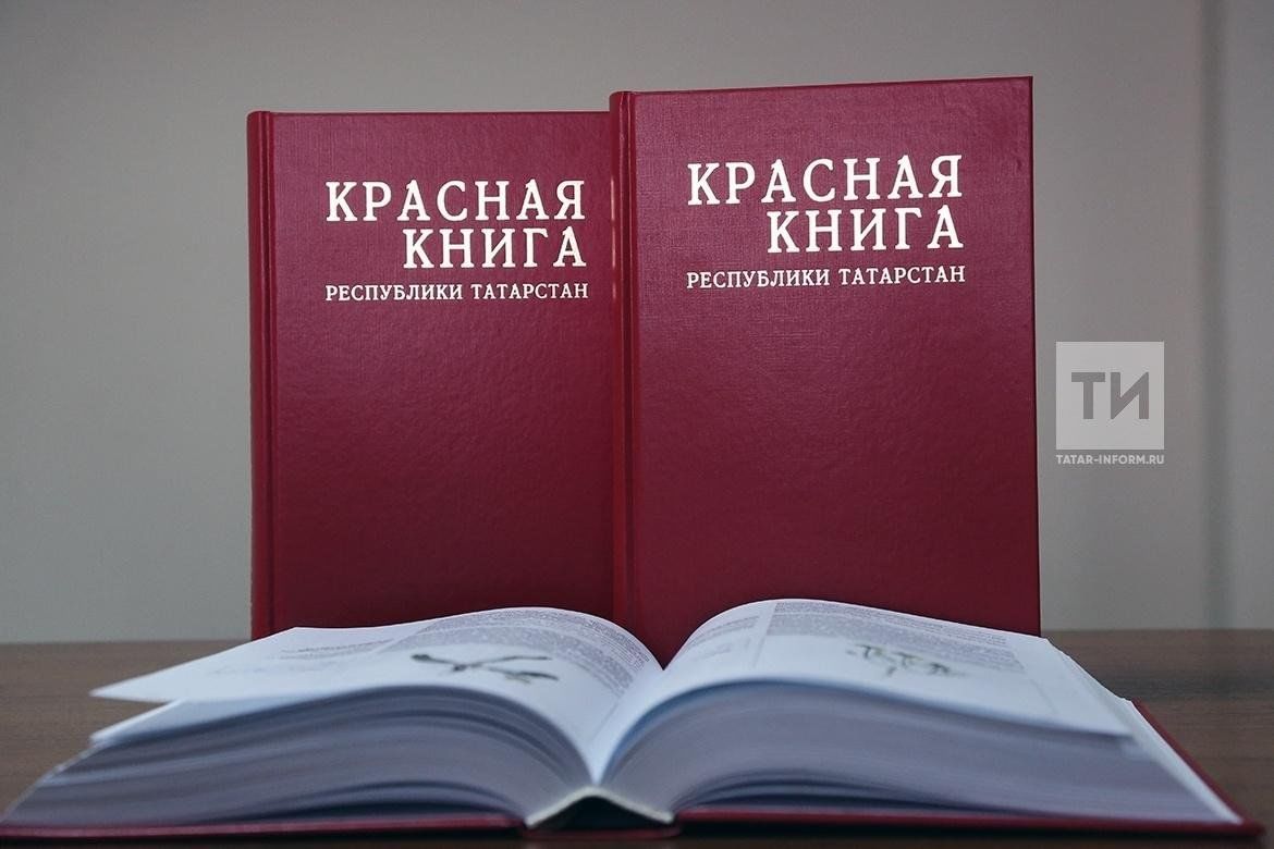 Татарстанда беренче Кызыл китапны ике телдә яңадан бастыру эше тәмамланды
