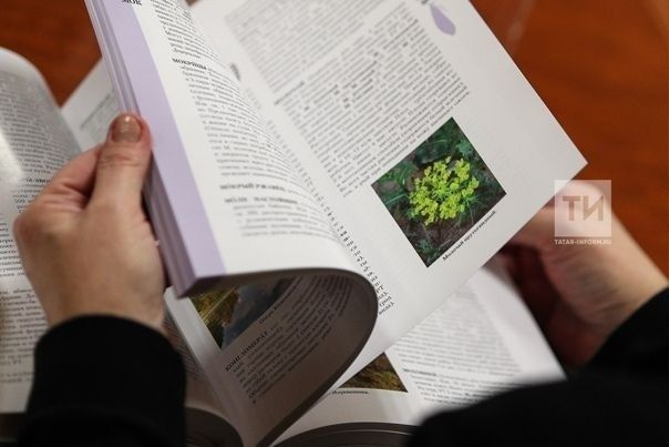 От книг к интернету: у каждого — свой источник знаний