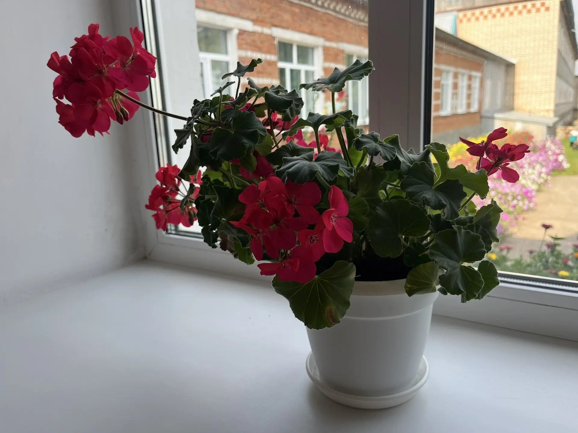 Кукмарада мәгариф учреждениеләренең яңа уку елына әзерлеге тикшерелә