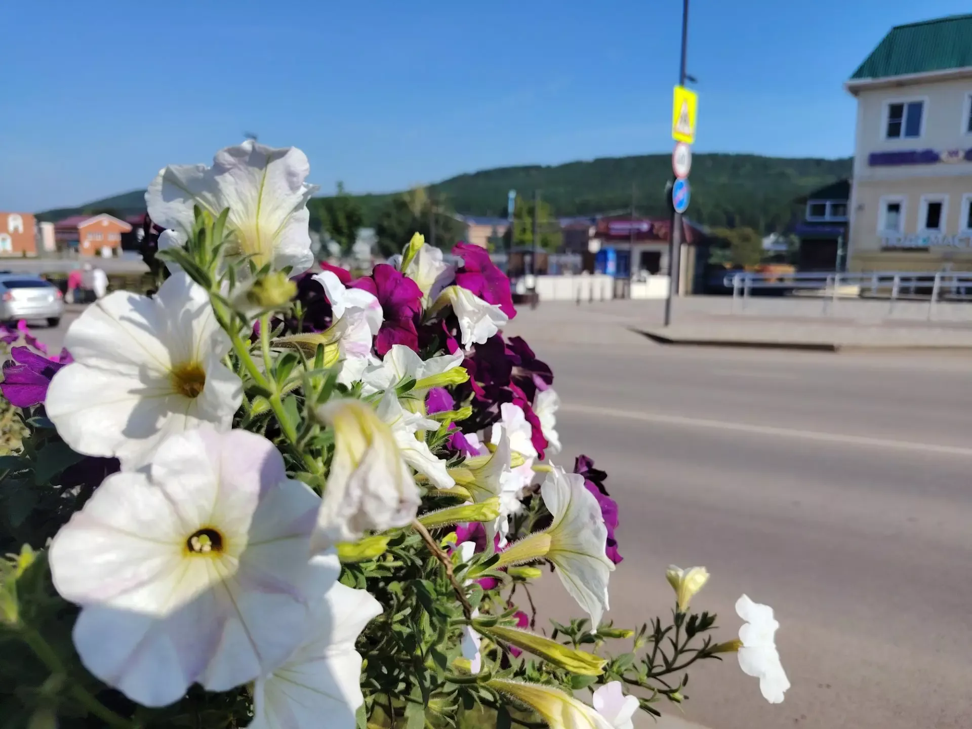 В Кукморском районе 22 августа потеплеет до +23 градусов