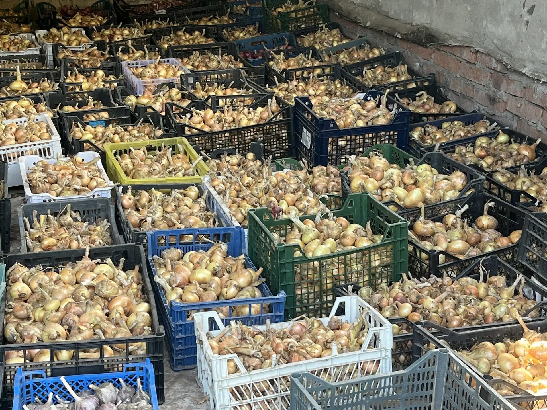 Кукмарада мәгариф учреждениеләренең яңа уку елына әзерлеге тикшерелә