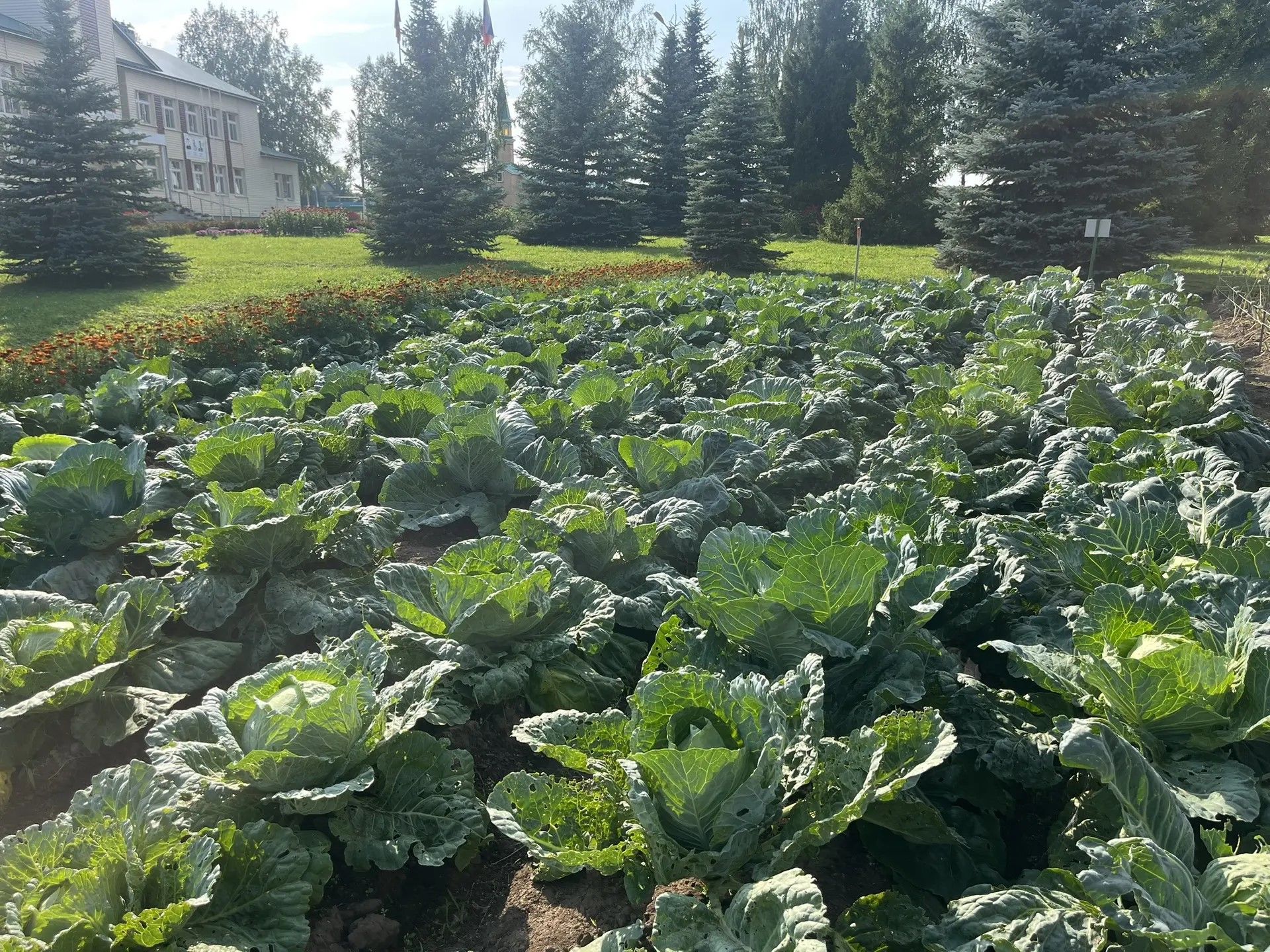 Кукмарада мәгариф учреждениеләренең яңа уку елына әзерлеге тикшерелә