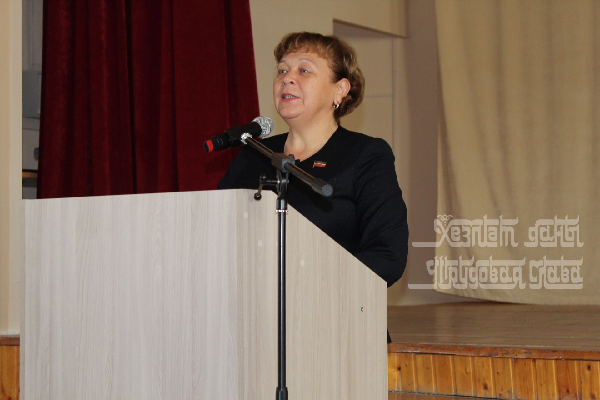 Римма Ратникова Кукмара укучыларына парламент дәресе үткәрде