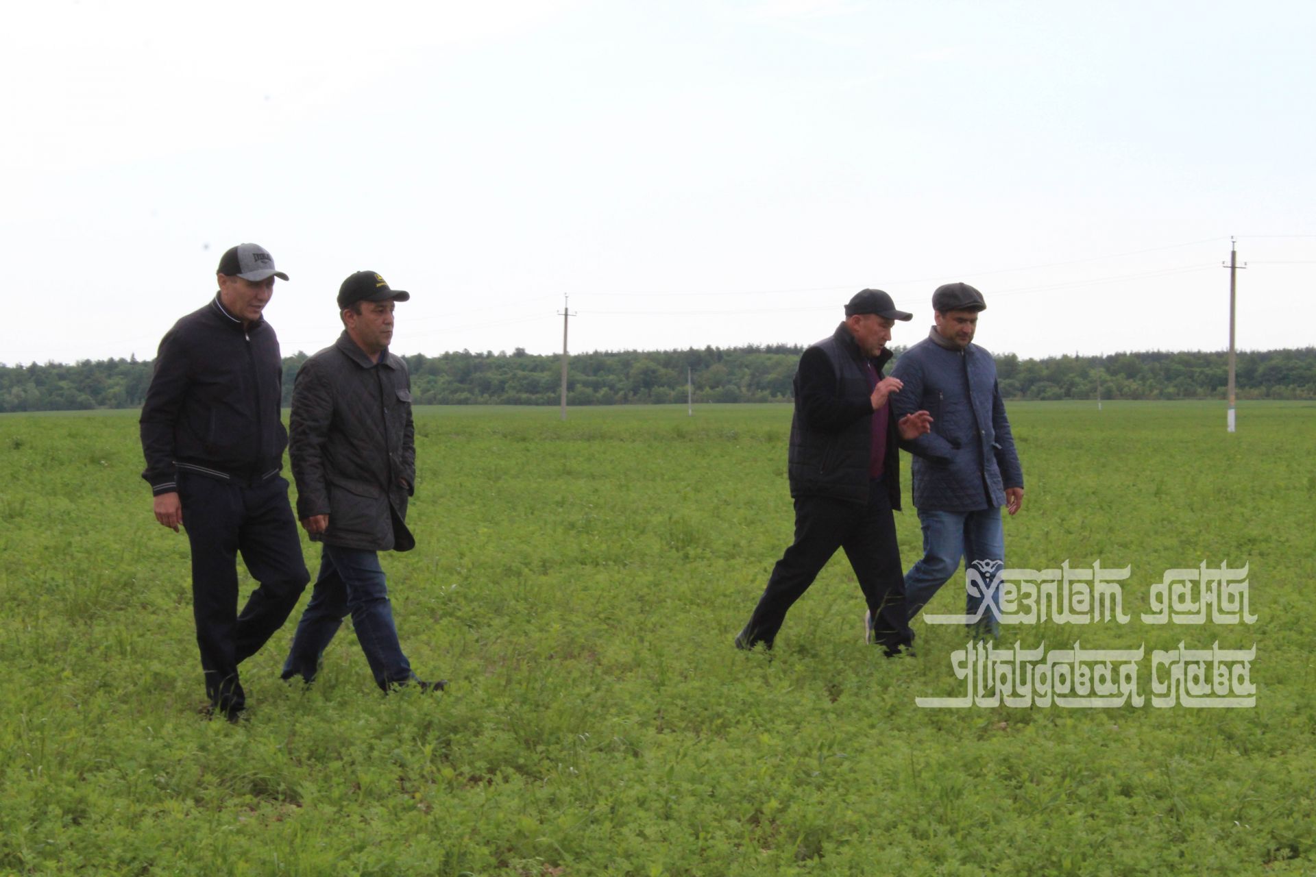 Марат Ахметов ознакомился с ходом полевых работ в Кукморском районе