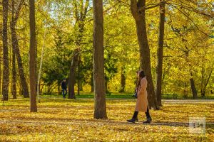 Россиялеләрне ноябрь аенда 20 эш һәм 10 ял көне көтә