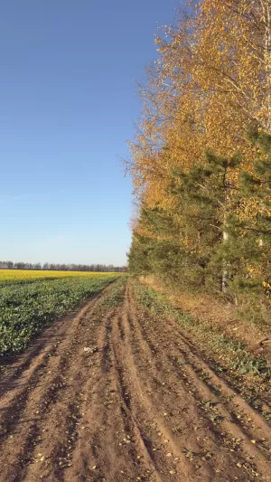В Кукморском районе ночью ожидаются заморозки