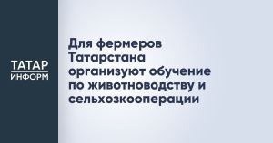 Девять ветеранов СВО в Татарстане начали обучение в «Школе фермера»