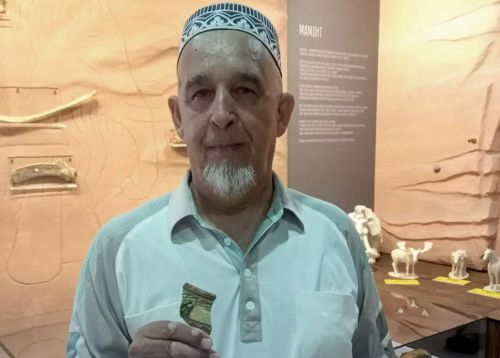 Житель деревни Копки передал в музей редкую археологическую находку