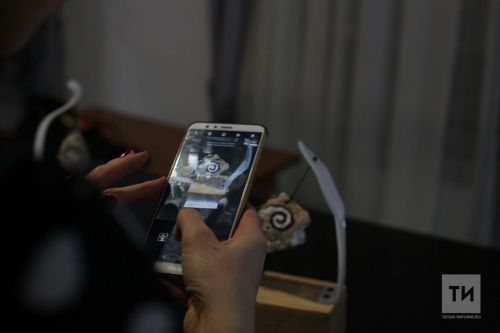 Быел Кукмара районында дүрт кеше мошенниклар тозагына эләккән,   аларга 500 мең сумга якын зыян килгән