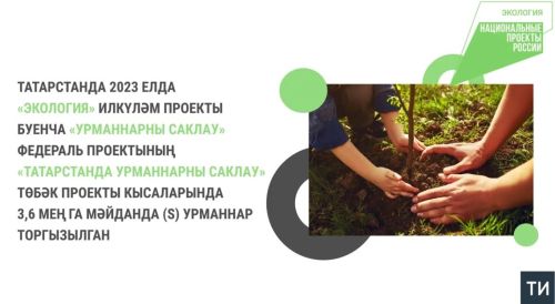 Татарстанда 2023 елда илкүләм проект буенча 3,6 мең гектар урманнар торгызылган