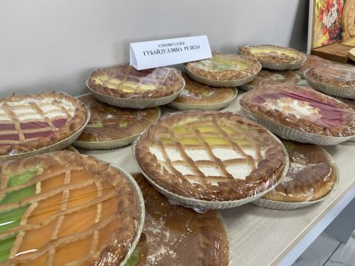Олыяз авыл җирлегендә Татарстан Дәүләт Советы депутаты Римма Ратникова катнашында хисап җыелышы узды