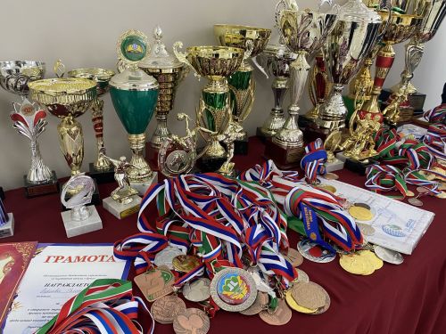Олыяз авыл җирлегендә Татарстан Дәүләт Советы депутаты Римма Ратникова катнашында хисап җыелышы узды