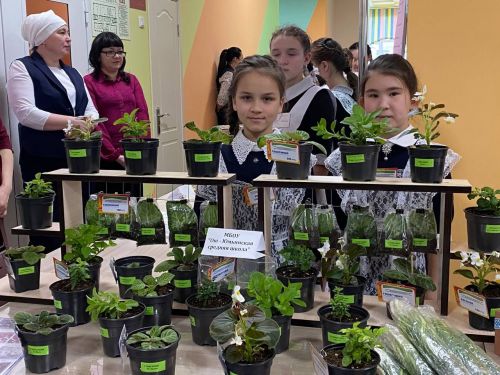 «Эшмәкәрлеккә адымнар»: Кукмарада яшь эшмәкәрләр үз бизнес-проектларын тәкъдим иттеләр