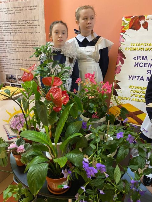 «Эшмәкәрлеккә адымнар»: Кукмарада яшь эшмәкәрләр үз бизнес-проектларын тәкъдим иттеләр