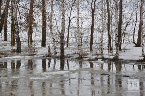 Татарстанда +8 градуска кадәр җылыта