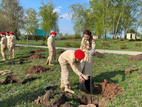 Кукморяне посадили деревья в рамках акции «Сад памяти»
