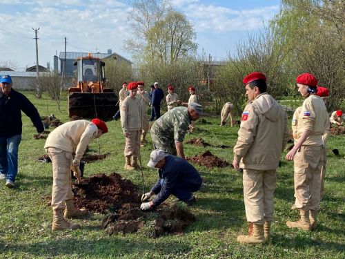 Кукморяне посадили деревья в рамках акции «Сад памяти»