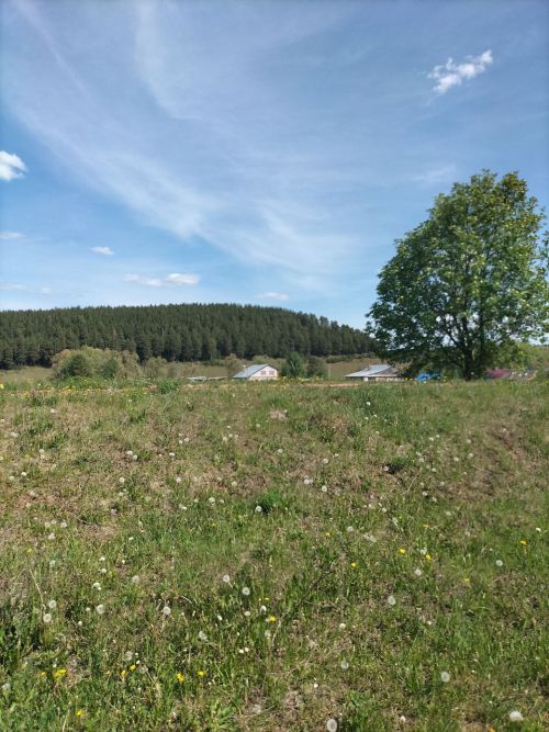 Синоптиклар алдагы көннәрдә нинди һава торышы булуын фаразладылар