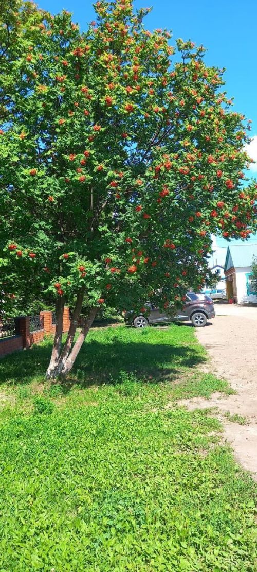 Бу атнада Татарстанда янә җылыта башлаячак