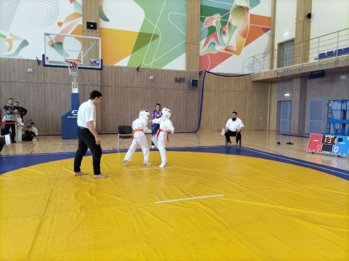 Кукмараның Барс-Арена спорт комплексында киокушинкай каратэ буенча республика турниры узды