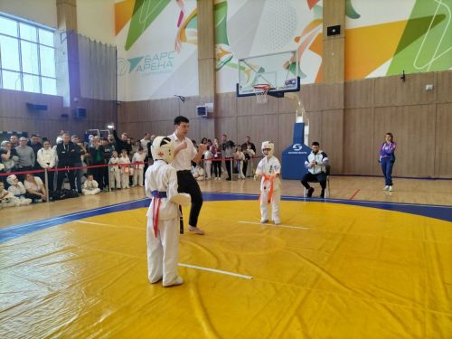 Кукмараның Барс-Арена спорт комплексында киокушинкай каратэ буенча республика турниры узды