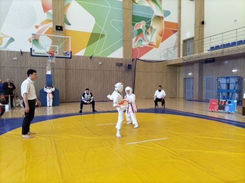 Кукмараның Барс-Арена спорт комплексында киокушинкай каратэ буенча республика турниры узды