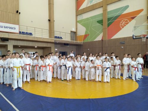 Кукмараның Барс-Арена спорт комплексында киокушинкай каратэ буенча республика турниры узды
