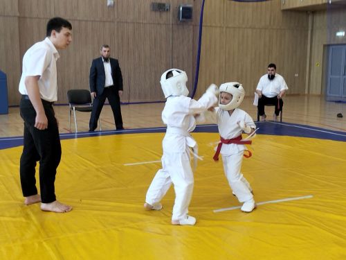 Кукмараның Барс-Арена спорт комплексында киокушинкай каратэ буенча республика турниры узды